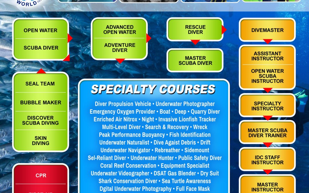 Courses